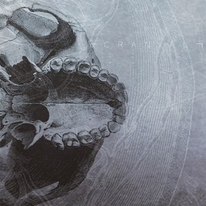 Dead Ends (Col.Vinyl+Download) [Vinyl LP] von Moment of Collapse Records (Broken Silence)
