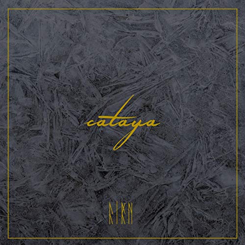 Firn [Vinyl LP] von Moment of Collapse Records (Broken Silence)
