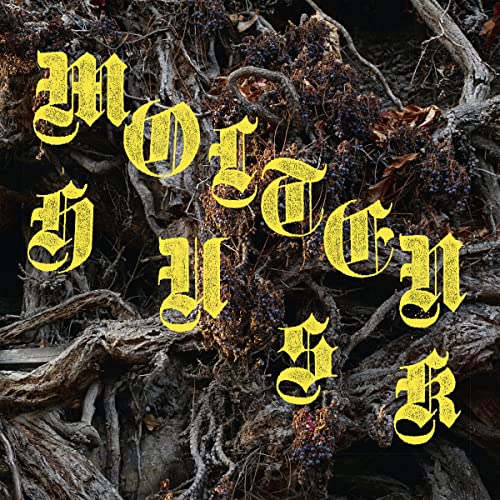 Molten Husk (180gr.) [Vinyl LP] von Moment of Collapse Records (Broken Silence)