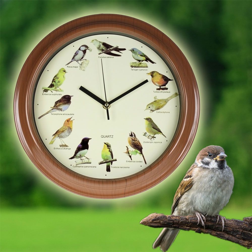 Wanduhr - Vogelstimmen Wanduhr - Vogelstimmen von Monsterzeug