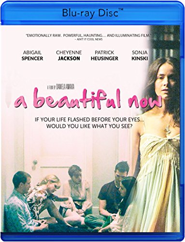 A Beautiful Now [Blu-ray] von Monterey Media