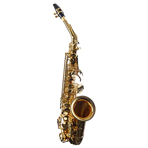 Monzani MZAS-90L Alt Saxophon für Einsteiger, Leichtgewicht, Volle Klangqualität, Einfache Ansprache, Inklusive Mundstück und Hardcase, Ideal für Kinder und Anfänger von Monzani