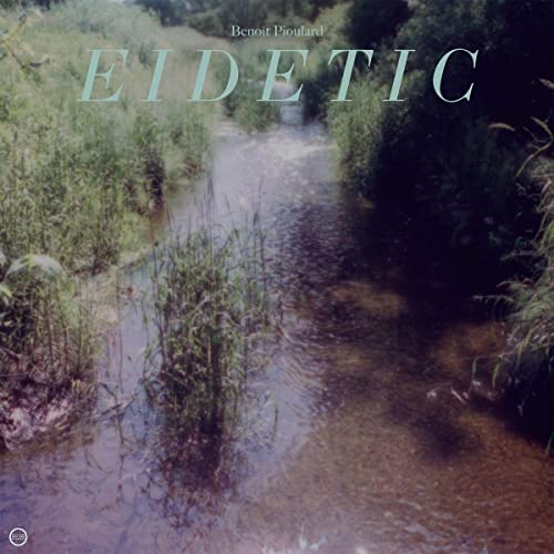 Eidetic [Vinyl LP] von Morr Music / Indigo