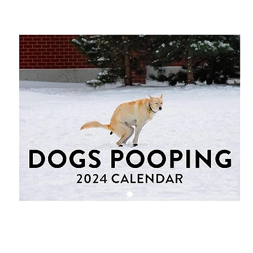 Hunde kacken an schönen Orten Kalender 2024 | Monatlicher Wandkunst-Familienkalender | Gag Gifts Hundekalender zum Aufhängen | Ästhetische Dekorationskalender für die Inneneinrichtung von Moslalo