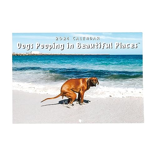 Hunde kacken an schönen Orten Kalender 2024 | Monatlicher Wandkunst-Familienkalender | Gag Gifts Hundekalender zum Aufhängen | Ästhetische Dekorationskalender für die Inneneinrichtung von Moslalo
