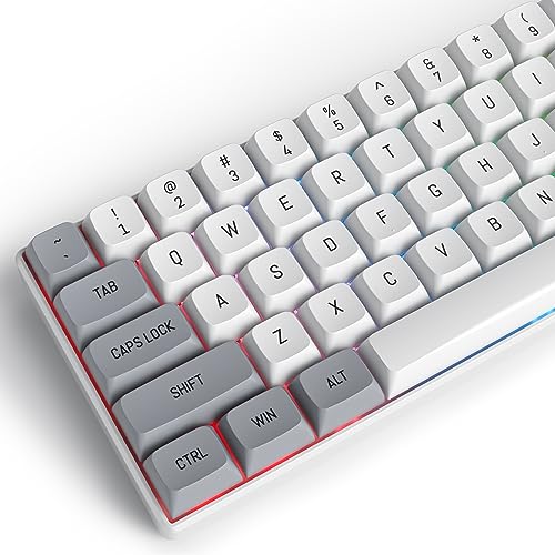 Grau Weiß 118 Key Cap Group, CSA-Profil Benutzerdefinierte Tastenkappen PBT Double Shot ANSI Layout Tastatur für Cherry/Gatron MX Switches Mechanische Gaming-Tastaturen von Mosptnspg