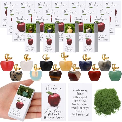 Motipuns 24 Sets Wertschätzungszeichen für Lehrer, Dankeschön, Lehrer, Emotionale Unterstützung, Kristall, Natursteine, grüne Moosboxen, Urlaub, Abschlussgeschenke für Frauen und Männer (Apfel) Motipuns 24 Sets Wertschätzungszeichen für Lehrer, Dankeschön, Lehrer, Emotionale Unterstützung, Kristall, Natursteine, grüne Moosboxen, Urlaub, Abschlussgeschenke für Frauen und Männer (Apfel) von Motipuns