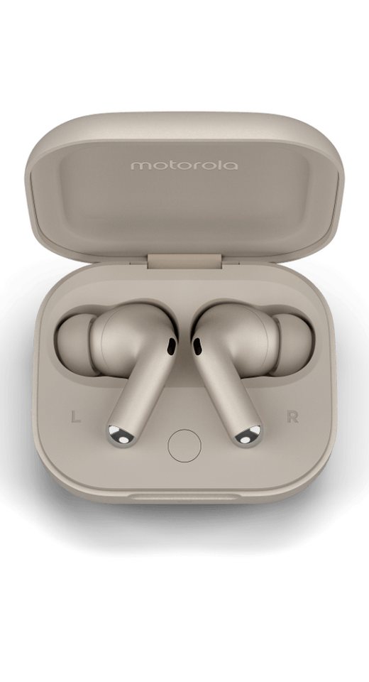 Motorola Moto Buds+ Bluetooth-Kopfhörer (Bluetooth, Stereo USB-C, Sound by Bose, Noise Cancelling, Dolby Headtracking) von Motorola