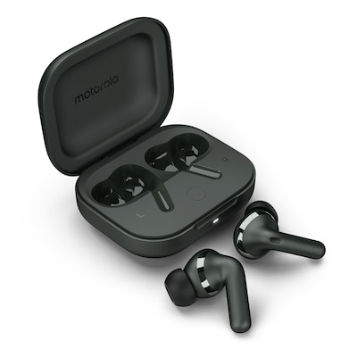 Motorola Moto Buds+ Forrest Grey von Motorola