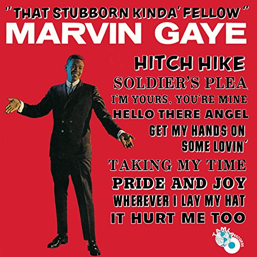 That Stubborn Kind of Fellow [Vinyl LP] von Motown