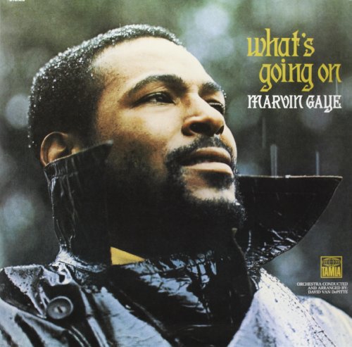What'S Going On (Back-To-Black-Serie) [Vinyl LP] von Motown