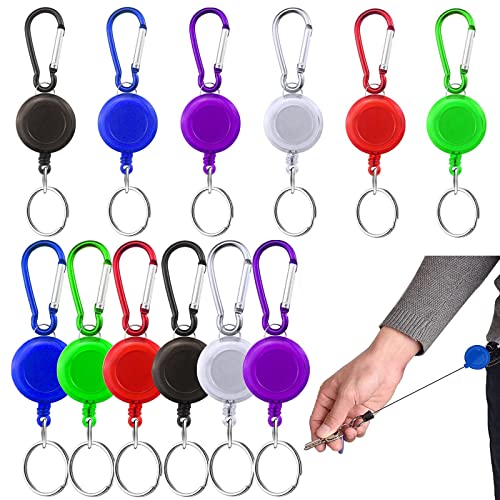 12 Stücke Schlüsselband Ausziehbar, Einziehbarer Ausweishalter Schlüsselrolle Einziehbarer Schlüsselanhänger, Schlüsselanhänger Ausziehbar für Abzeichen, Ausweise, Kartenhalter, Schlüsselkarte von Mount Kumgang