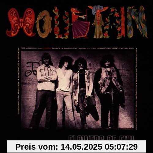 Flowers of Evil von Mountain