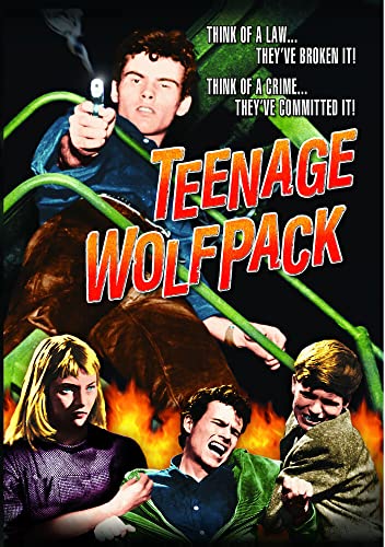 Teenage Wolfpack [DVD] [1956] [Region 1] [NTSC] von Movie-Spielfilm