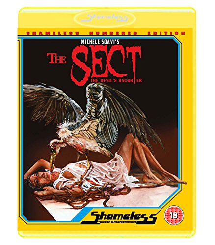 Movie - Sect (1 Blu-ray) von Movie