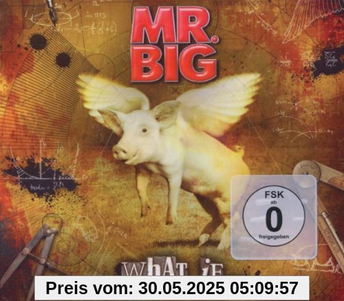 What If... von Mr. Big