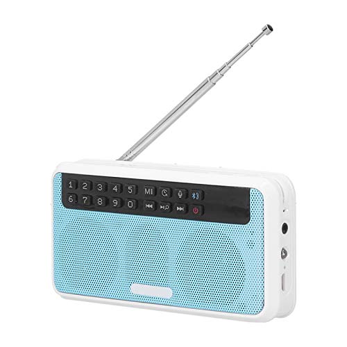 Tragbarer Drahtloser -Lautsprecher mit FM -Radio und LED -Taschenlampe für Outdoor -Aktivitäten Geeignet (A) von Mrisata