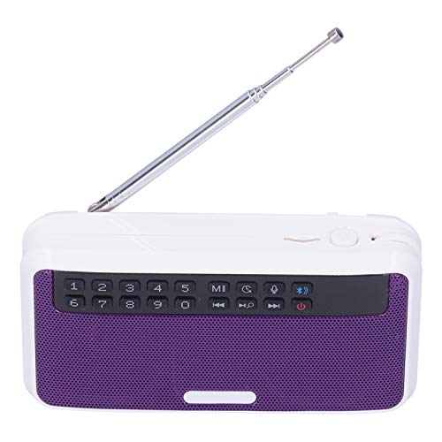 Tragbarer Drahtloser -Lautsprecher mit FM -Radio und LED -Taschenlampe für Outdoor -Aktivitäten Geeignet (B) von Mrisata