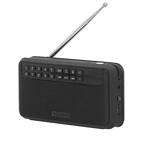 Tragbarer Drahtloser -Lautsprecher mit FM -Radio und LED -Taschenlampe für Outdoor -Aktivitäten Geeignet (D) von Mrisata