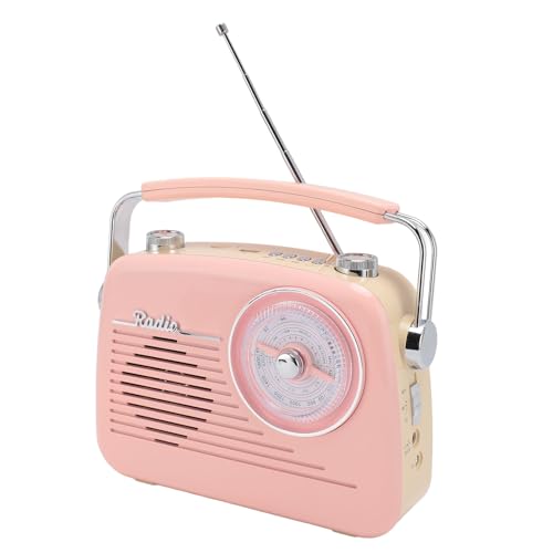 Tragbarer -Lautsprecher FM AM SW USB -Lautsprecher für den Gebrauch Im Innenbereich Im Freien (EU -Stecker) von Mrisata