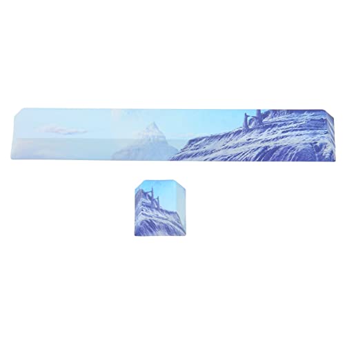 Mtlavish keycap DIY Produktion Abriebfestigkeit Mattes Erscheinungsbild Mechanische Tastaturschlüsselcaps ideal für die allgemeine mechanische Tastatur Verwendung mit 2 Tastenraum von Mtlavishness