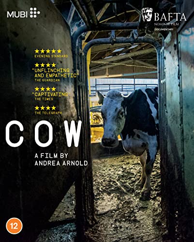 Cow [Blu-ray] [2022] von MUBI