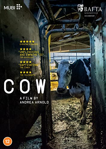 Cow [DVD] [2022] von Mubi