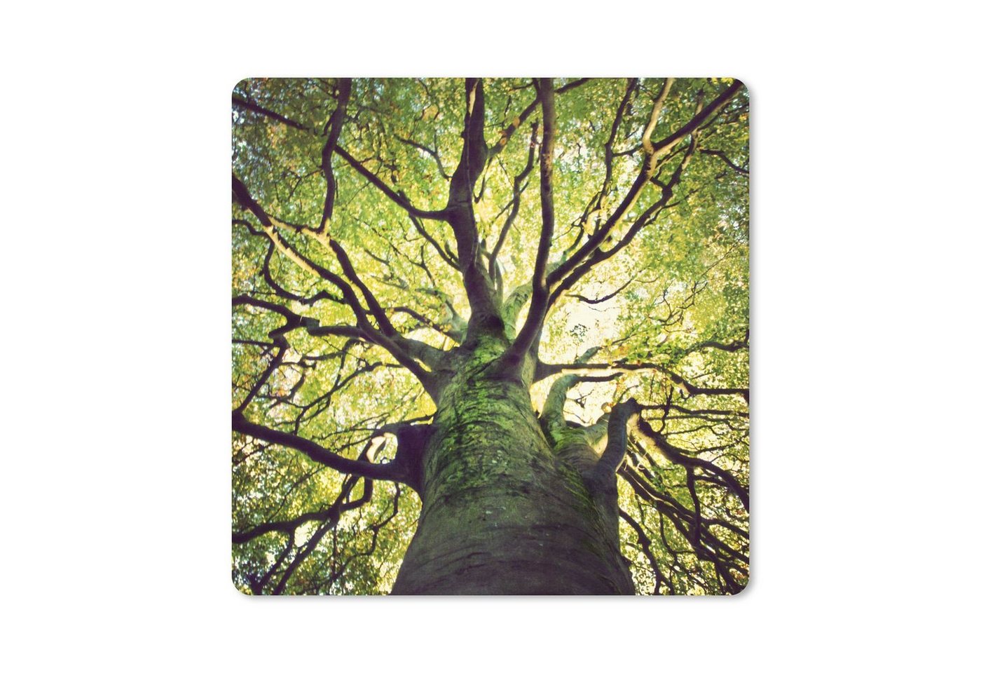 MuchoWow Gaming Mauspad Beruhigende Zweige eines grünen Baumes (1-St), Mousepad mit Rutschfester Unterseite, Gaming, 40x40 cm, XXL, Großes von MuchoWow