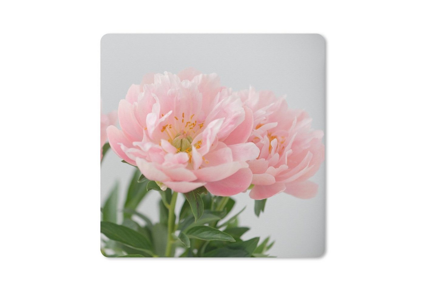 MuchoWow Gaming Mauspad Blumenstrauß aus rosa Pfingstrosen (1-St), Mousepad mit Rutschfester Unterseite, Gaming, 40x40 cm, XXL, Großes von MuchoWow