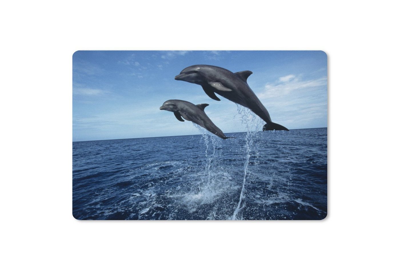 MuchoWow Gaming Mauspad Delfin - Meer - Tier (1-St), Büro für Tastatur und Maus, Mousepad Gaming, 90x60 cm, XXL, Großes von MuchoWow