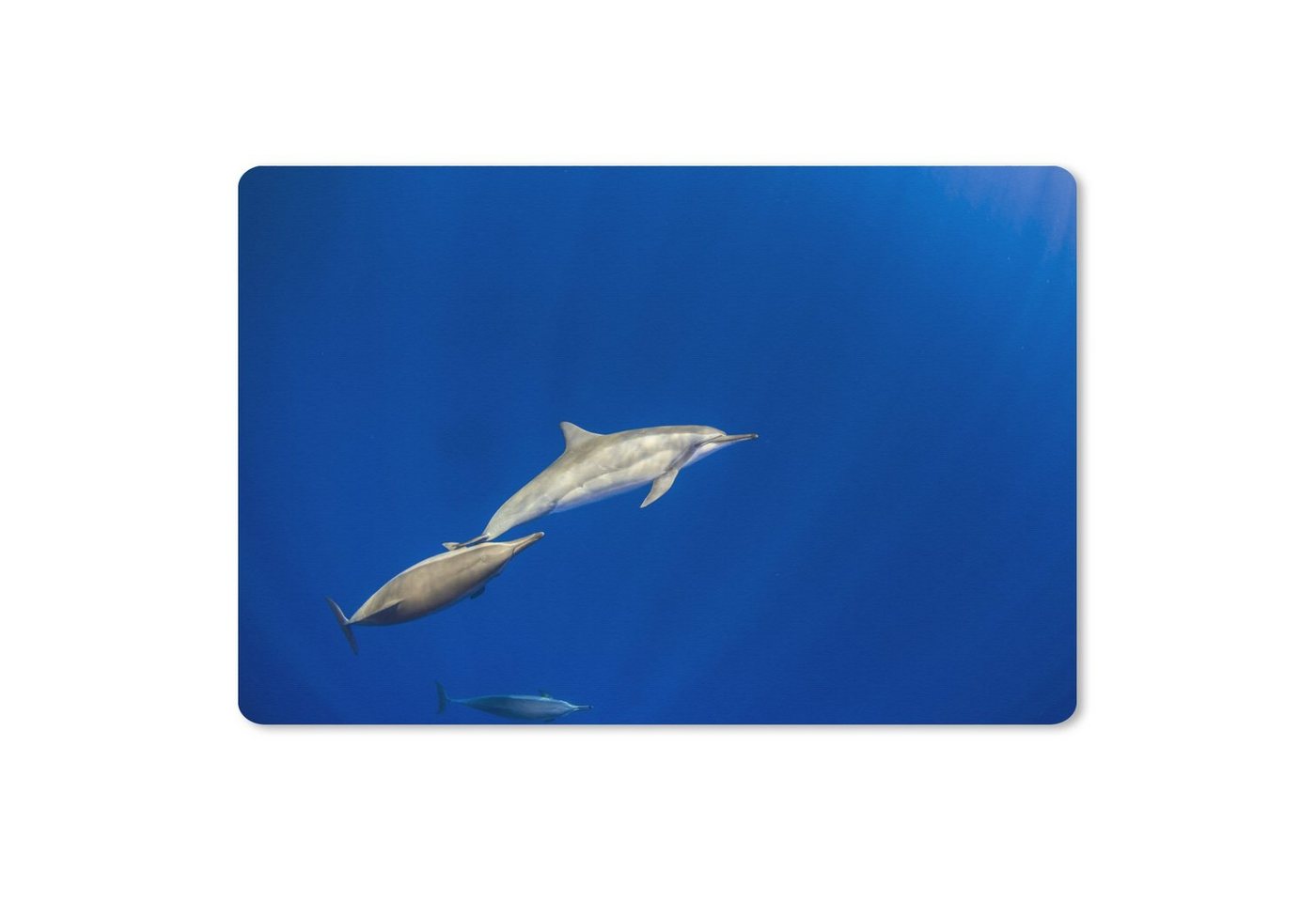 MuchoWow Gaming Mauspad Delfin - Tier - Meer (1-St), Büro für Tastatur und Maus, Mousepad Gaming, 90x60 cm, XXL, Großes von MuchoWow