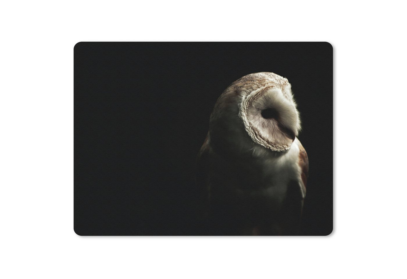 MuchoWow Mauspad Eule - Vogel - Porträt (1-St), Gaming, Mousepad Klein, Büro Zubehör, Mausunterlage, 23x19 cm von MuchoWow
