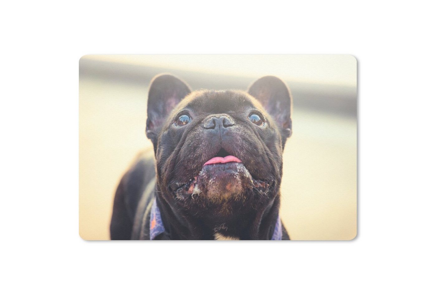 MuchoWow Mauspad Französische Bulldogge - Schwarz - Sonne (1-St), Mouse pad Klein, Gaming Deko, PC Zubehör, 27x18 cm von MuchoWow
