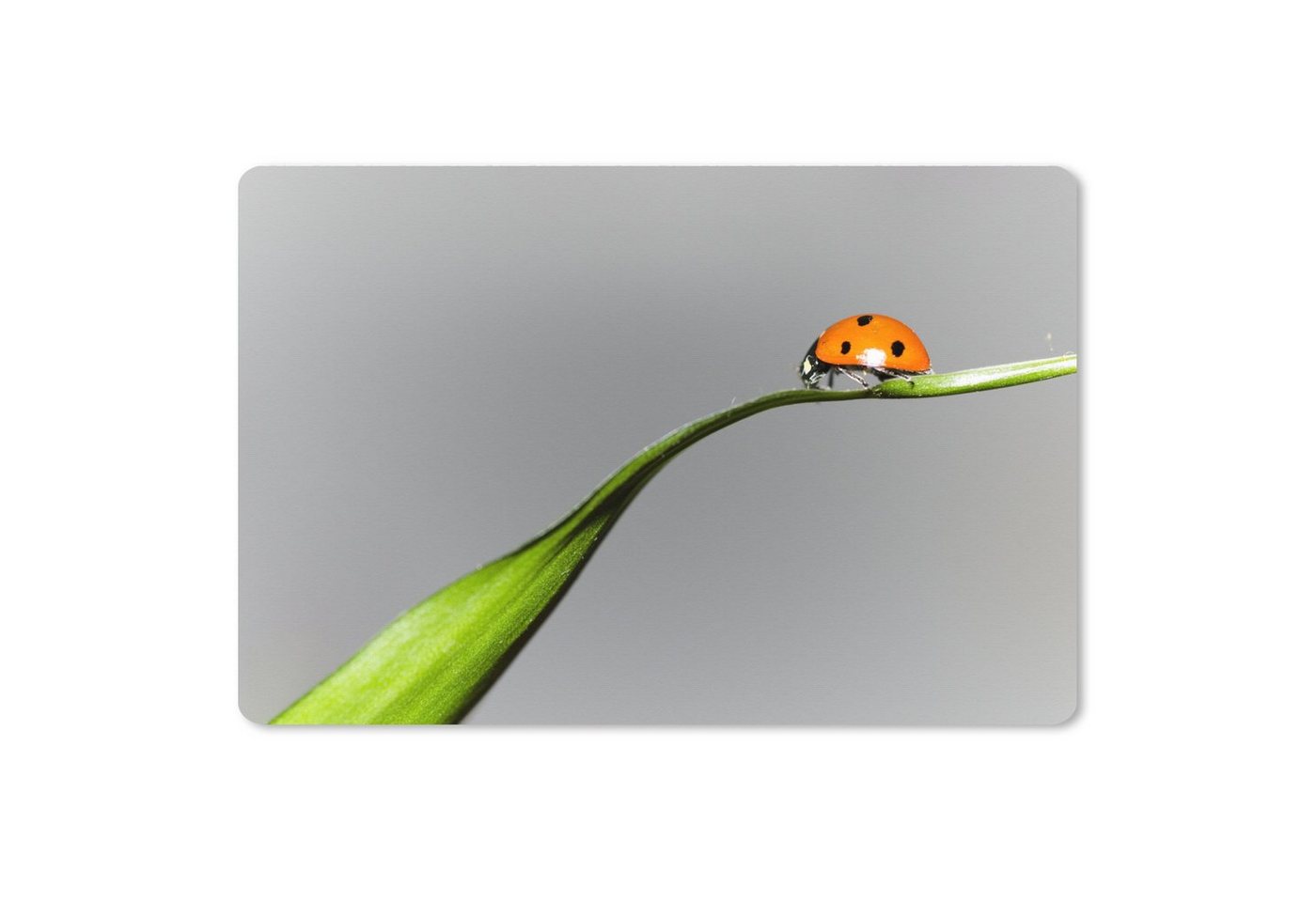 MuchoWow Gaming Mauspad Frühling Marienkäfer auf Gras (1-St), Büro für Tastatur und Maus, Mousepad Gaming, 90x60 cm, XXL, Großes von MuchoWow