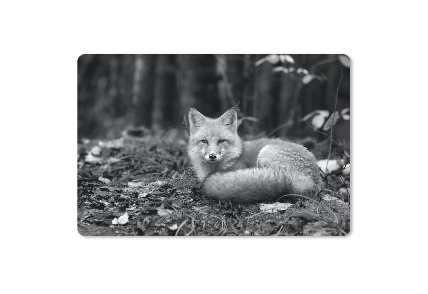 MuchoWow Mauspad Ruhender Fuchs - schwarz und weiß (1-St), Mouse pad Klein, Gaming Deko, PC Zubehör, 27x18 cm von MuchoWow