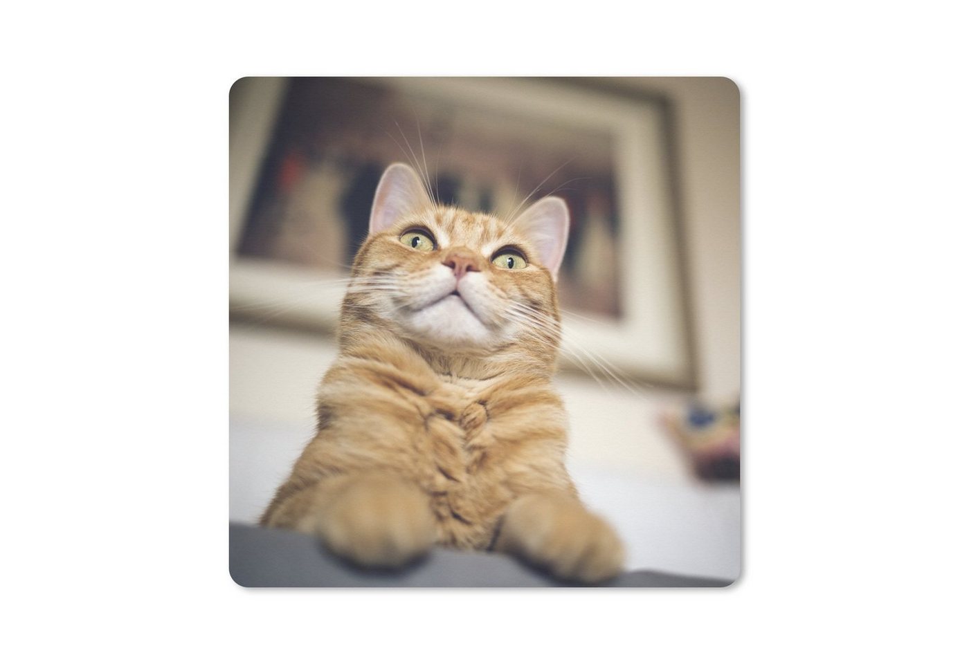 MuchoWow Gaming Mauspad Katze - Bank - Orange (1-St), Mousepad mit Rutschfester Unterseite, Gaming, 40x40 cm, XXL, Großes von MuchoWow