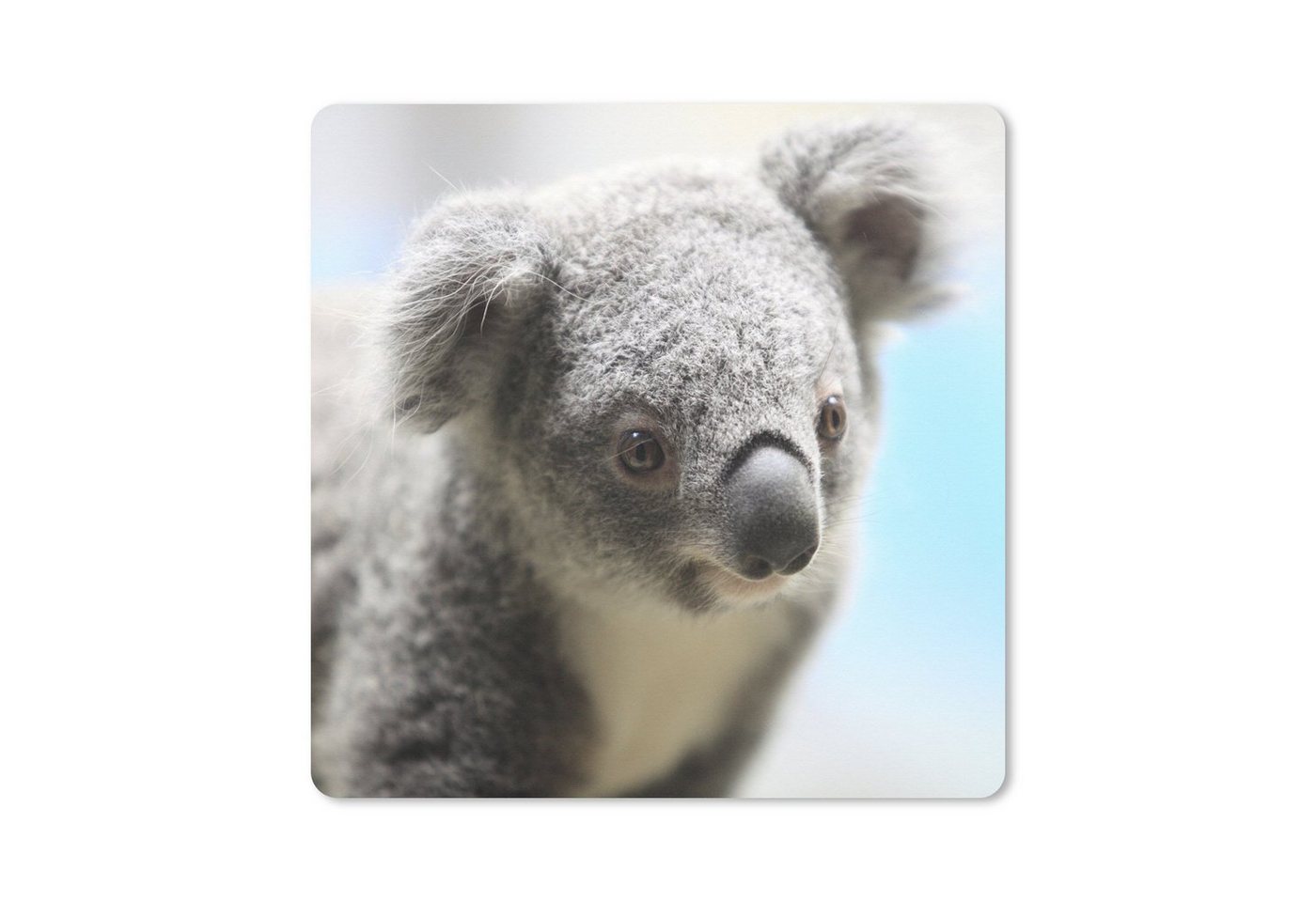 MuchoWow Gaming Mauspad Koala - Porträt - Tier - Kinder - Jungen - Mädchen (1-St), Mousepad mit Rutschfester Unterseite, Gaming, 40x40 cm, XXL, Großes von MuchoWow