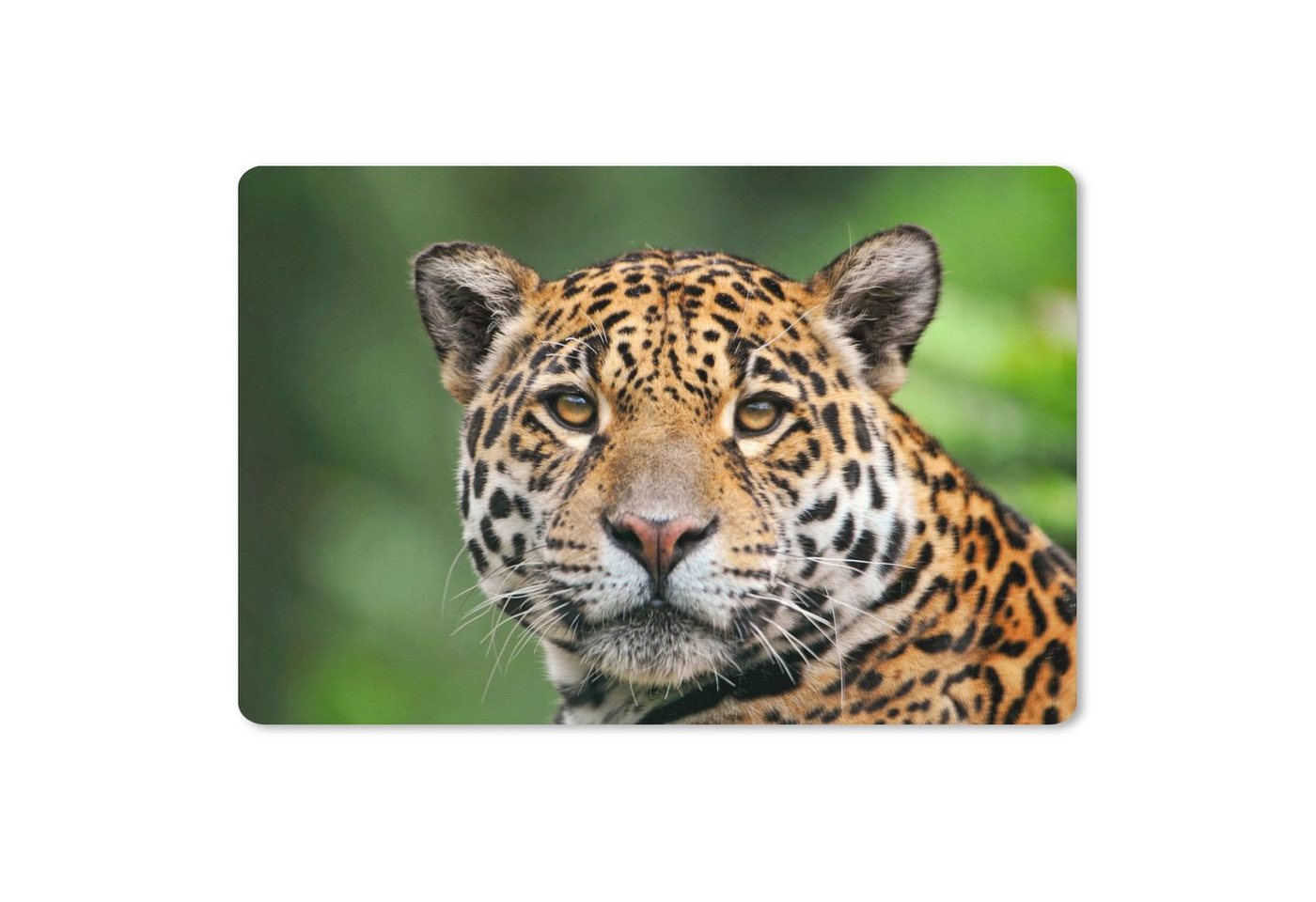 MuchoWow Gaming Mauspad Leopard - Natur - Gefleckt (1-St), Büro für Tastatur und Maus, Mousepad Gaming, 90x60 cm, XXL, Großes von MuchoWow