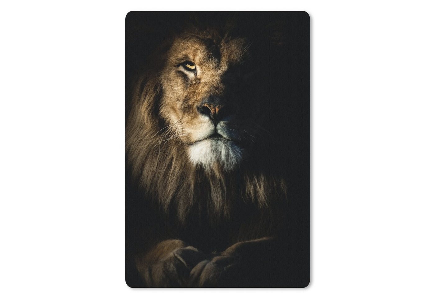 MuchoWow Mauspad Löwe - Licht - Porträt (1-St), Maus Pad Klein, Gaming Zubehör, Büro Deko, 18x27 cm von MuchoWow