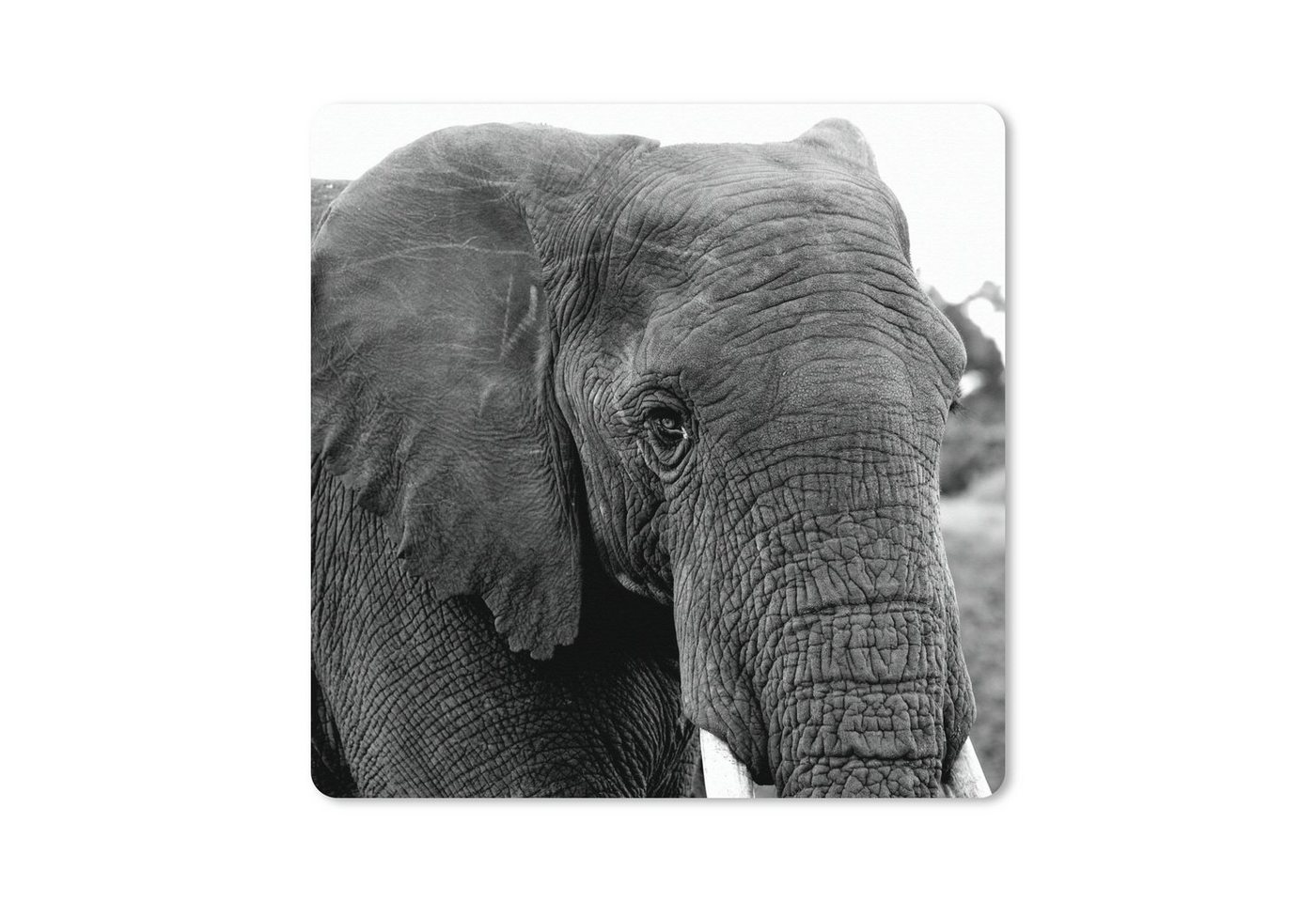 MuchoWow Gaming Mauspad Nahaufnahme eines Elefanten in der Natur in Schwarz und Weiß (1-St), Mousepad mit Rutschfester Unterseite, Gaming, 40x40 cm, XXL, Großes von MuchoWow