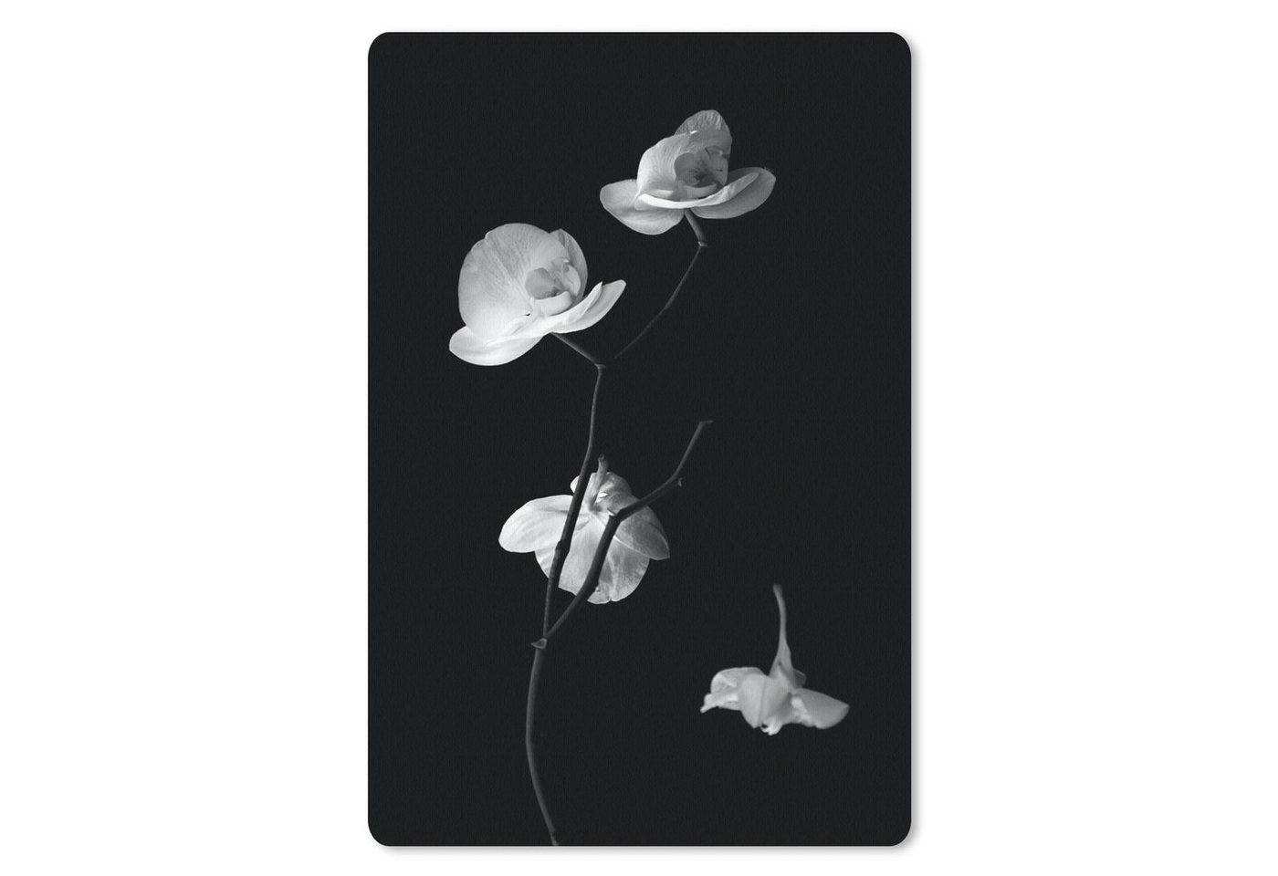 MuchoWow Mauspad Orchidee - Blumen - Schwarz - Weiß - Stilleben (1-St), Maus Pad Klein, Gaming Zubehör, Büro Deko, 18x27 cm von MuchoWow