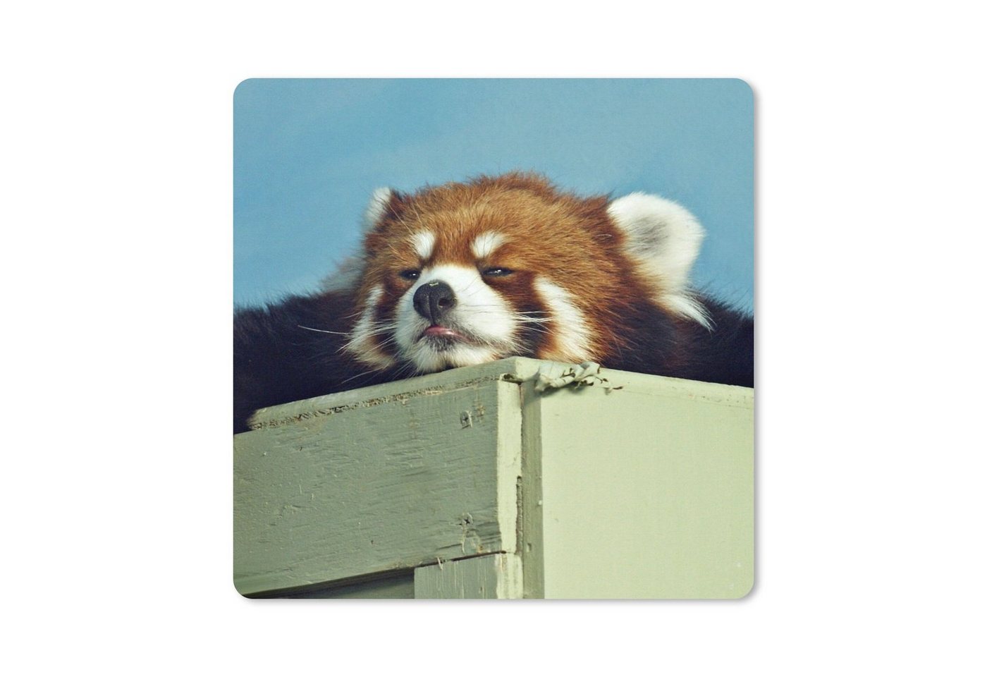 MuchoWow Gaming Mauspad Panda - Holz - Rot (1-St), Mousepad mit Rutschfester Unterseite, Gaming, 40x40 cm, XXL, Großes von MuchoWow