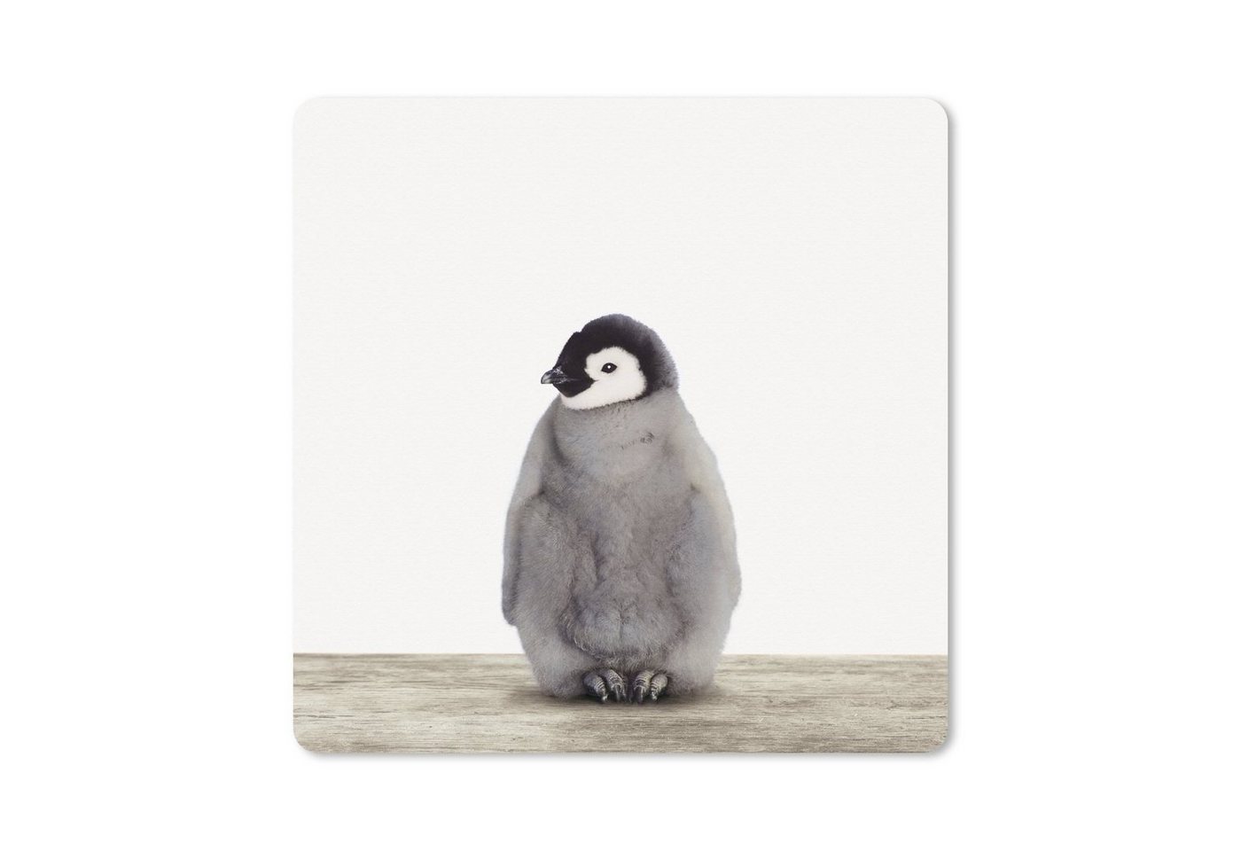 MuchoWow Gaming Mauspad Pinguin - Tiere - Baby (1-St), Mousepad mit Rutschfester Unterseite, Gaming, 40x40 cm, XXL, Großes von MuchoWow