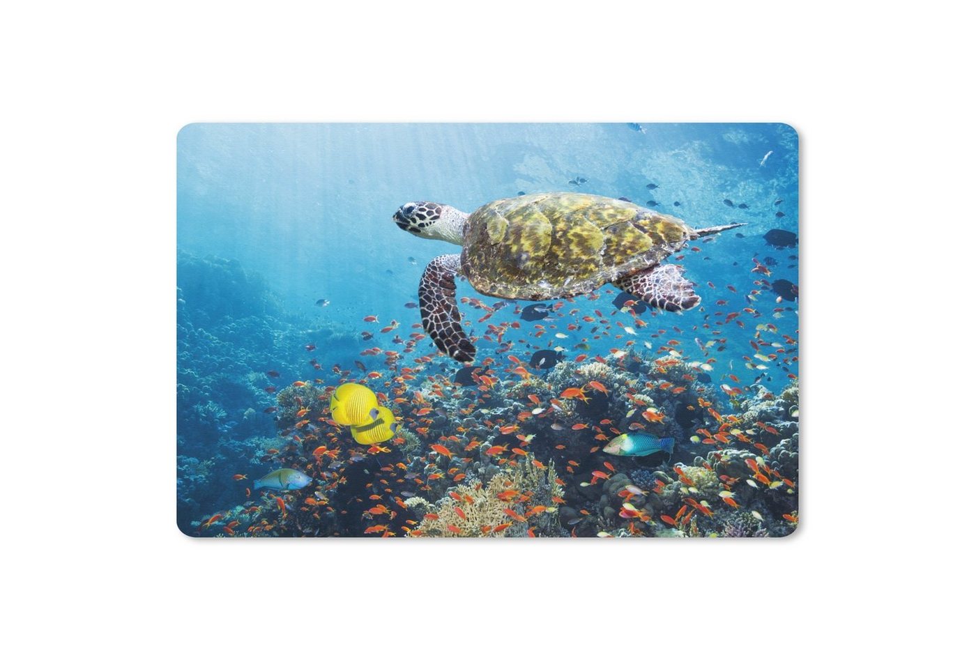 MuchoWow Mauspad Schildkröte am Korallenriff (1-St), Mouse pad Klein, Gaming Deko, PC Zubehör, 27x18 cm von MuchoWow