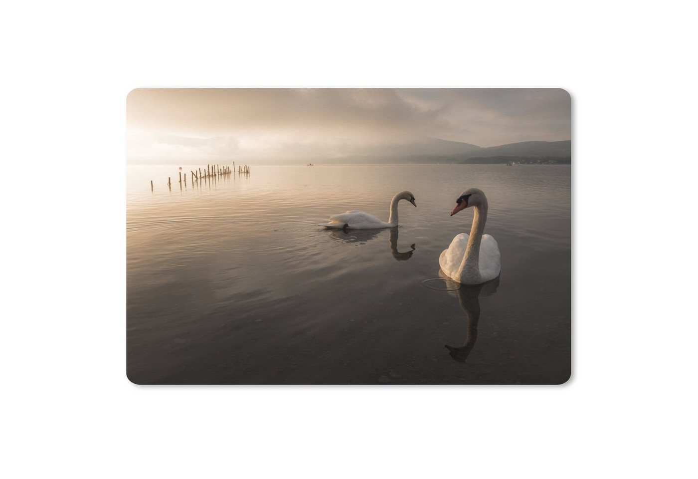 MuchoWow Gaming Mauspad Schwäne - Vogel - Wasser (1-St), Büro für Tastatur und Maus, Mousepad Gaming, 90x60 cm, XXL, Großes von MuchoWow