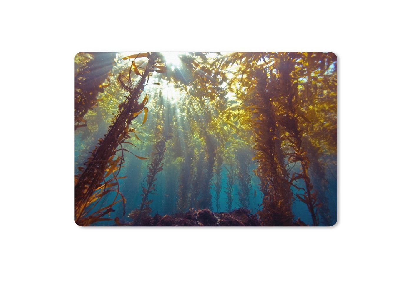 MuchoWow Gaming Mauspad Sonnenlicht und Pflanzen unter Wasser (1-St), Büro für Tastatur und Maus, Mousepad Gaming, 90x60 cm, XXL, Großes von MuchoWow