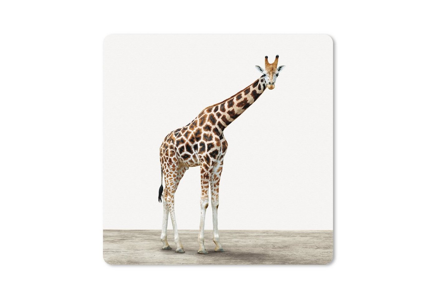 MuchoWow Gaming Mauspad Tier - Giraffe - Weiß (1-St), Mousepad mit Rutschfester Unterseite, Gaming, 40x40 cm, XXL, Großes von MuchoWow