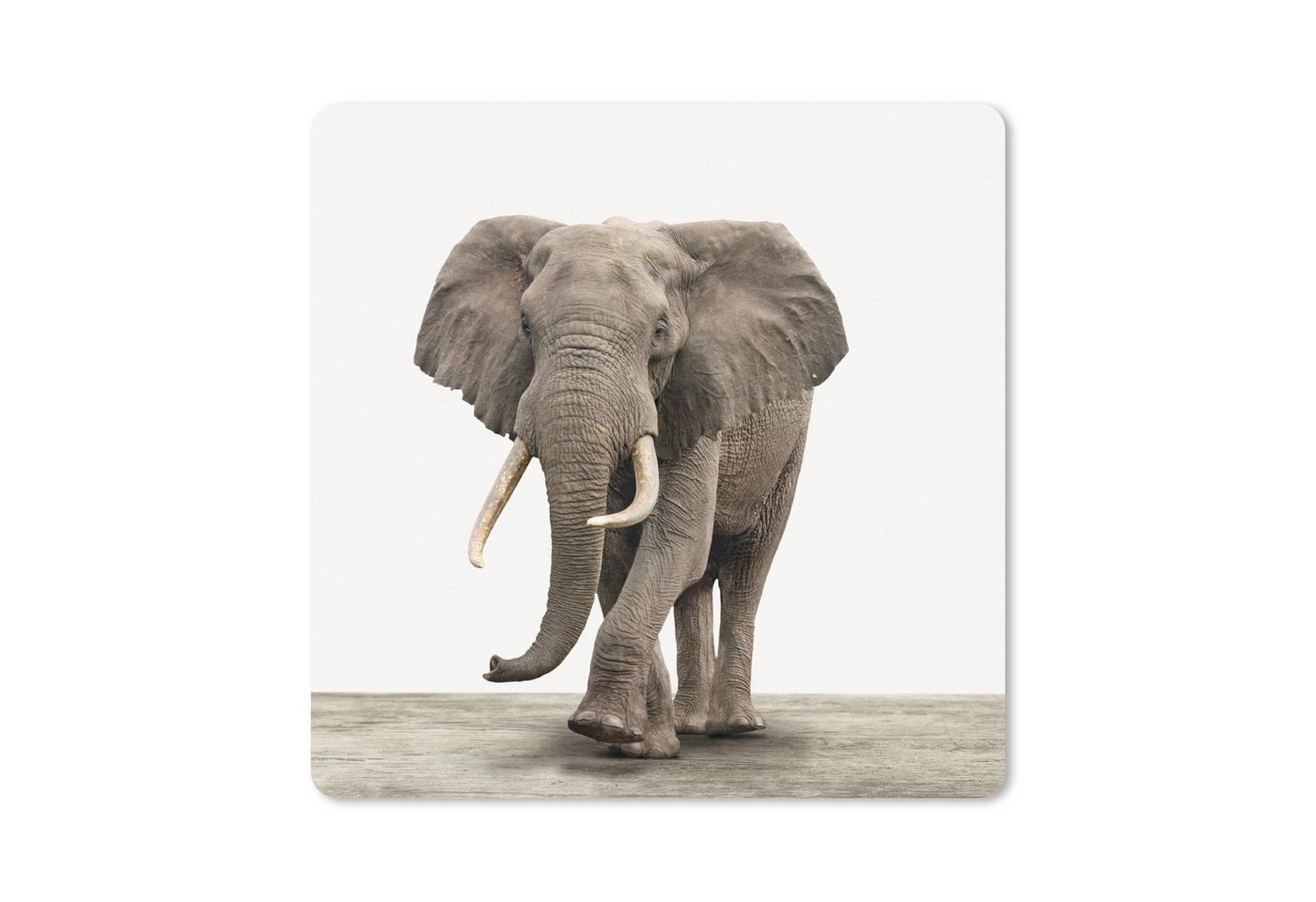MuchoWow Gaming Mauspad Tiere - Elefant - Grau (1-St), Mousepad mit Rutschfester Unterseite, Gaming, 40x40 cm, XXL, Großes von MuchoWow