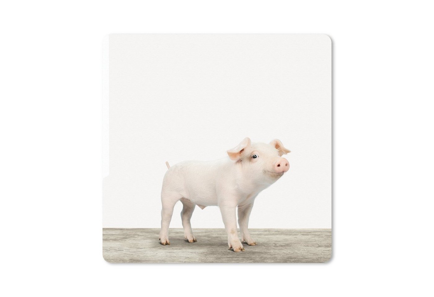 MuchoWow Gaming Mauspad Tiere - Schwein - Baby (1-St), Mousepad mit Rutschfester Unterseite, Gaming, 40x40 cm, XXL, Großes von MuchoWow