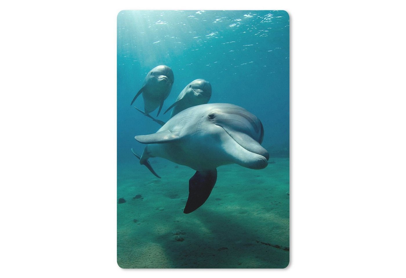 MuchoWow Mauspad Wasser - Delphin - Blau (1-St), Maus Pad Klein, Gaming Zubehör, Büro Deko, 18x27 cm von MuchoWow